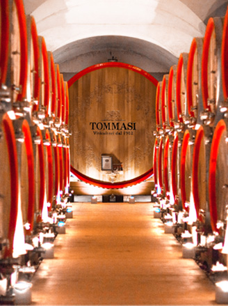 tour in cantina Tommasi con degustazione di vini
